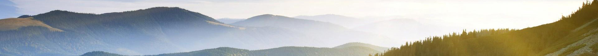 (y)banner